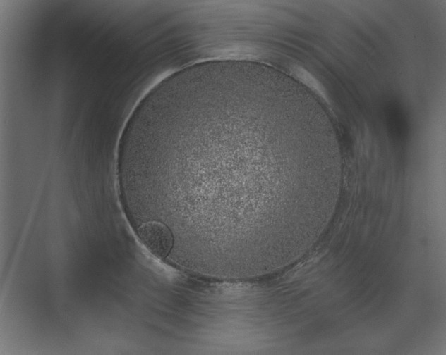 X0000073831087200608170935