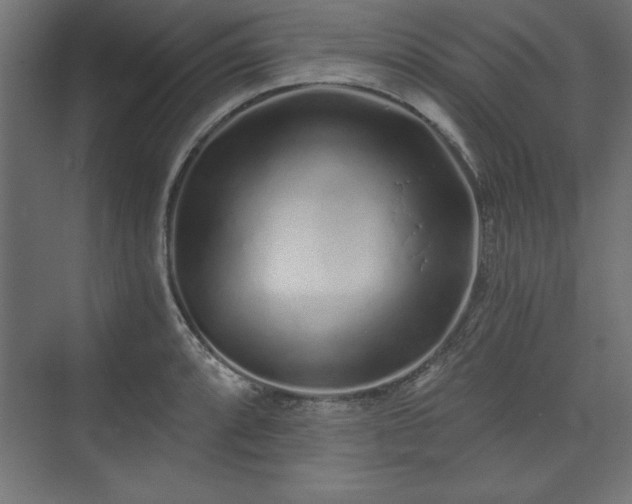 X0000073831088200608170935