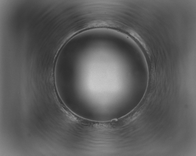 X0000073831089200608170935