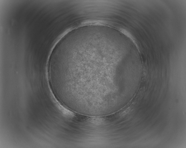 X0000073831090200608170935