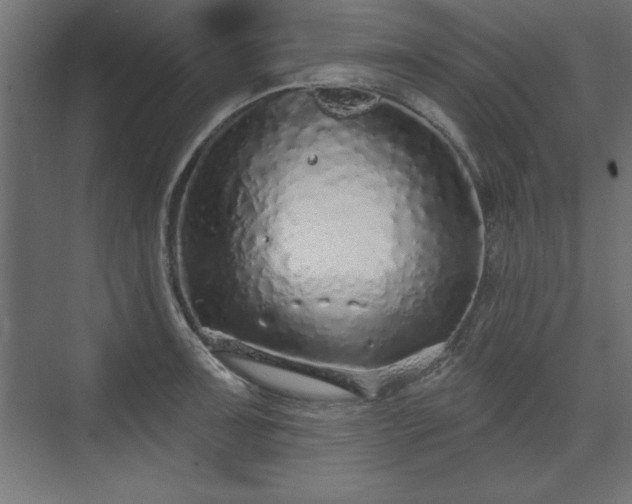 X0000073831091200608170935