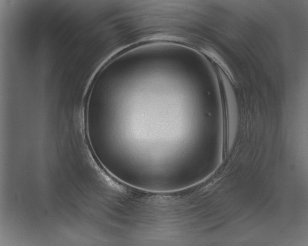 X0000073831092200608170935