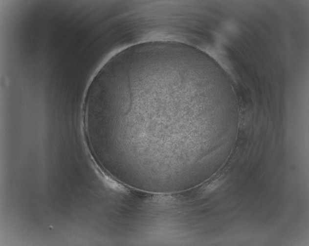 X0000073831094200608170935