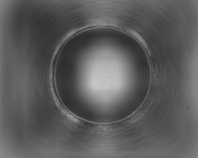 X0000073831096200608170934