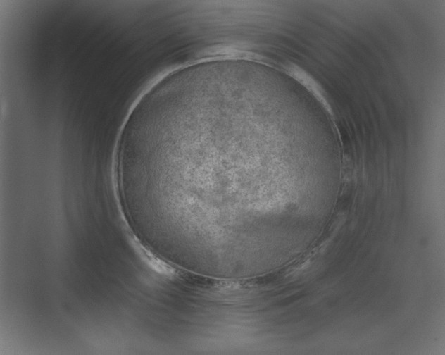 X0000073831098200608170934