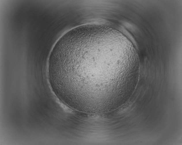 X0000073831099200608170934