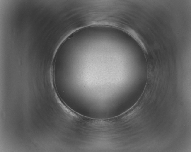 X0000073831100200608170934