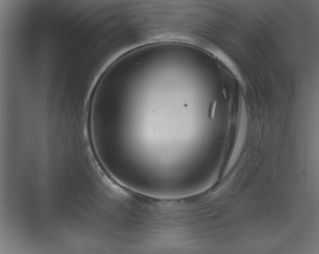 X0000073831102200608170934