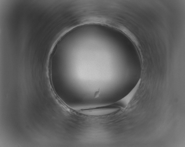 X0000073831104200608170934