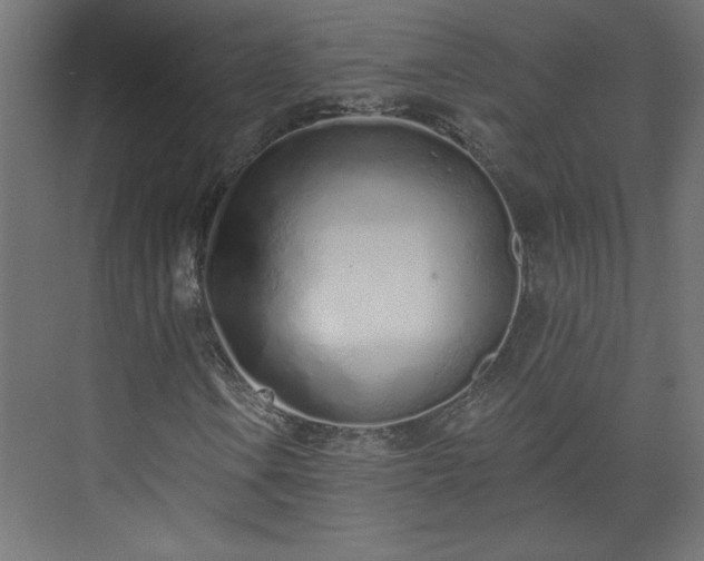 X0000073831106200608170934