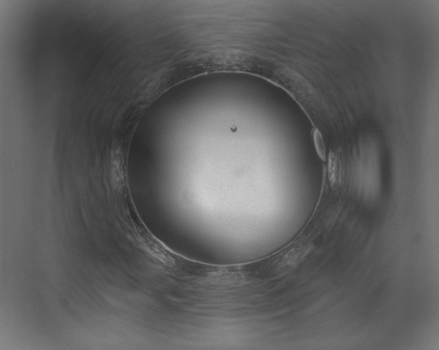 X0000073831107200608170934