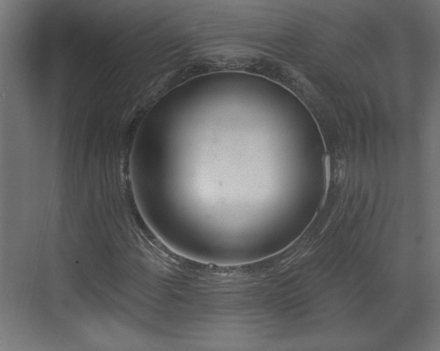 X0000073831108200608170934