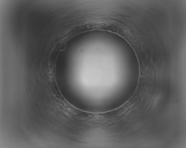 X0000073831109200608170934