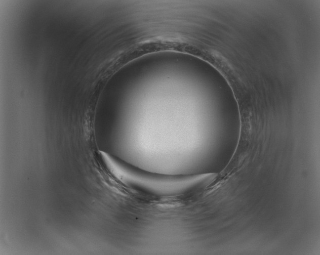 X0000073831110200608170934