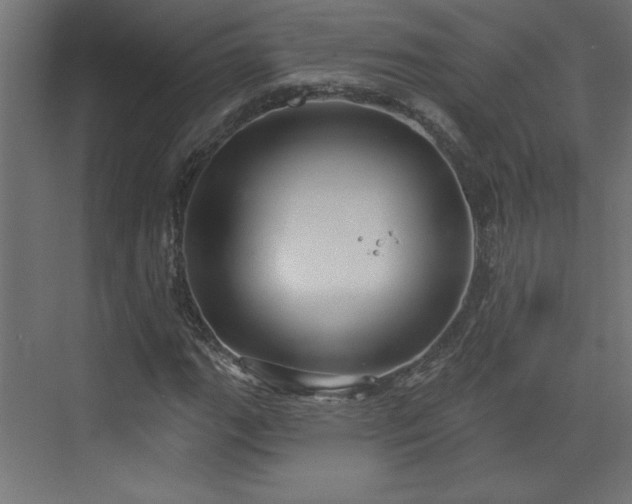 X0000073831111200608170934