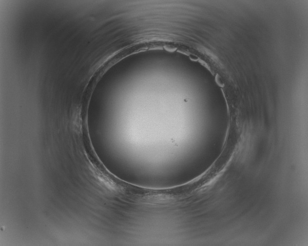 X0000073831113200608170934