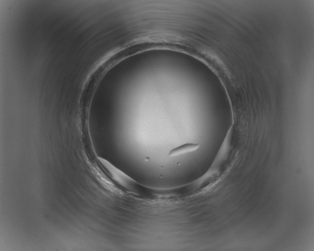 X0000073831114200608170934