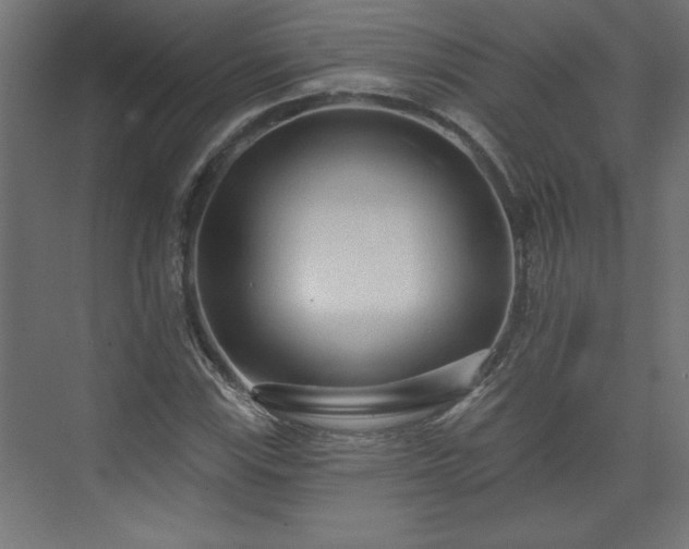 X0000073831115200608170934