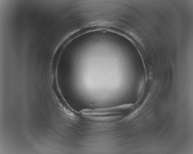 X0000073831117200608170934