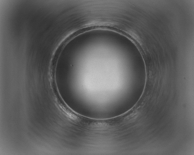 X0000073831119200608170934