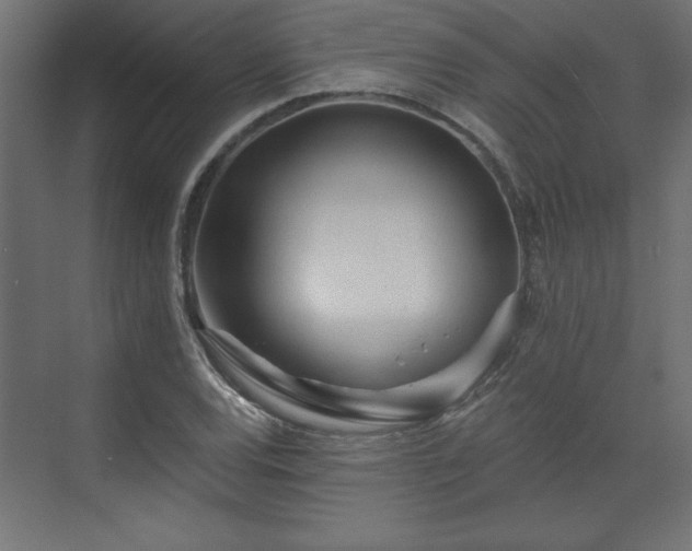 X0000073831120200608170934