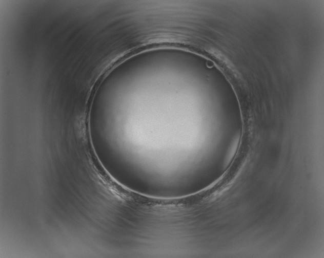 X0000073831121200608170934