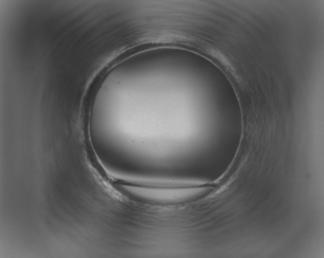 X0000073831122200608170934