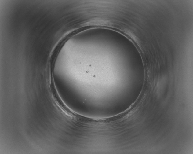 X0000073831123200608170934