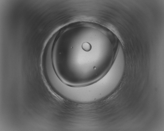 X0000073831128200608170934