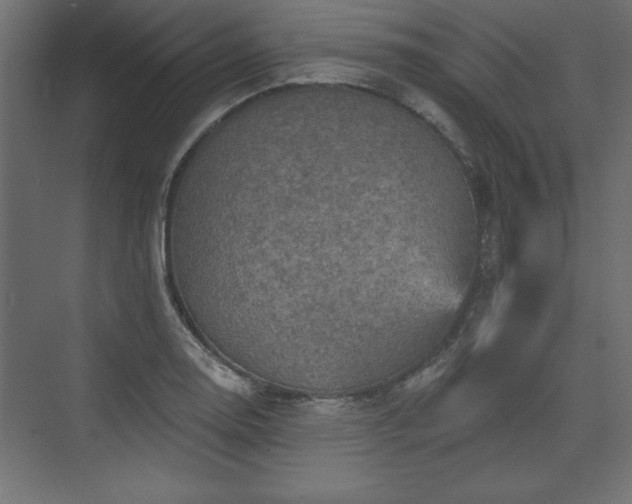 X0000073831130200608170934