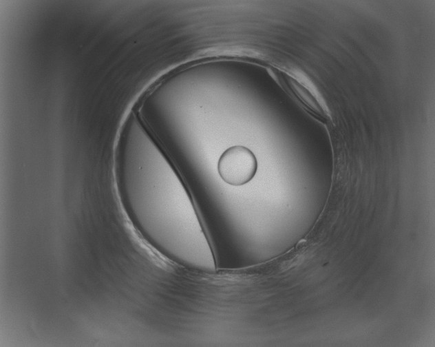 X0000073831132200608170934