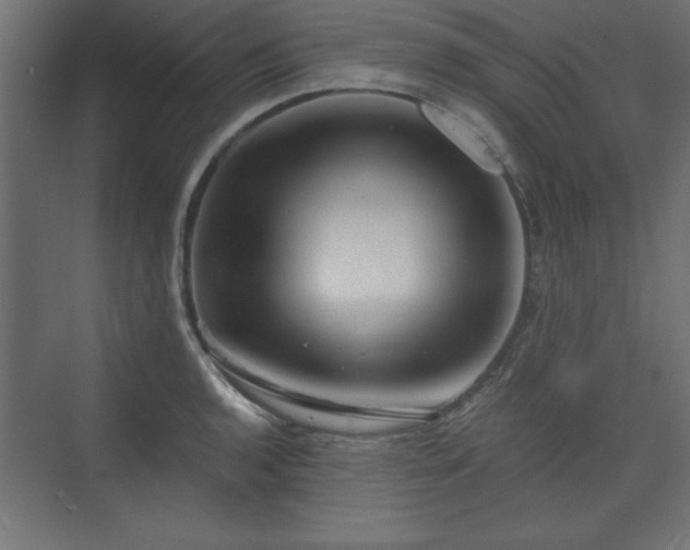 X0000073831136200608170934