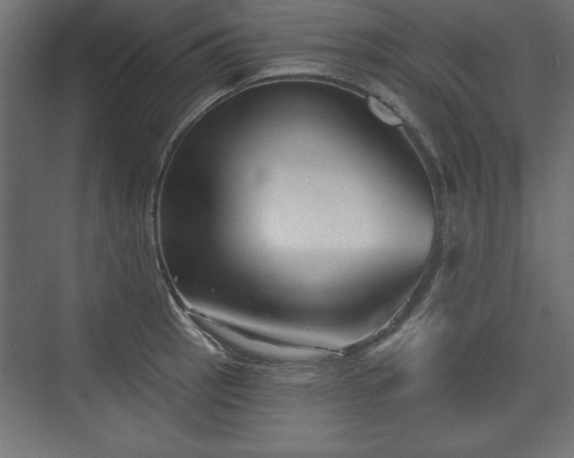 X0000073831137200608170934