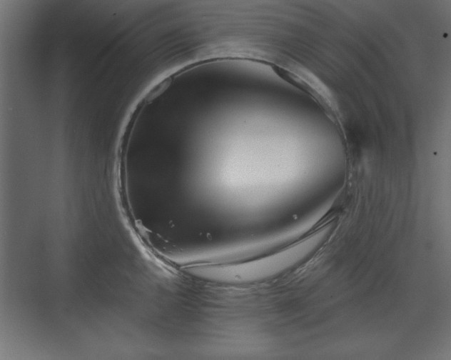 X0000073831144200608170934