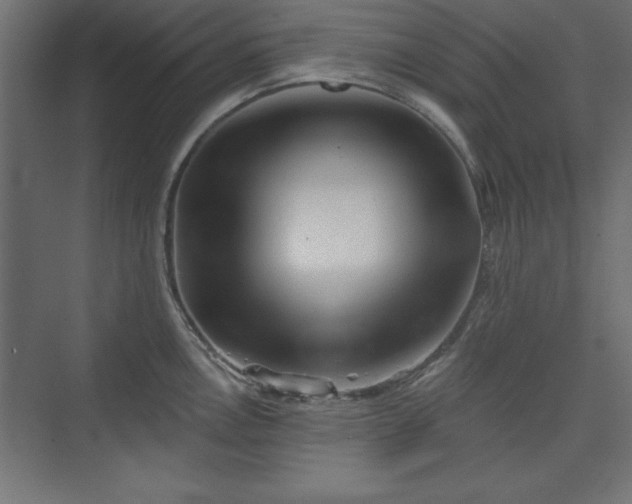 X0000073831146200608170934