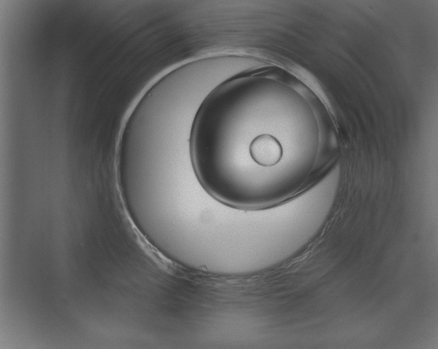 X0000073831148200608170934