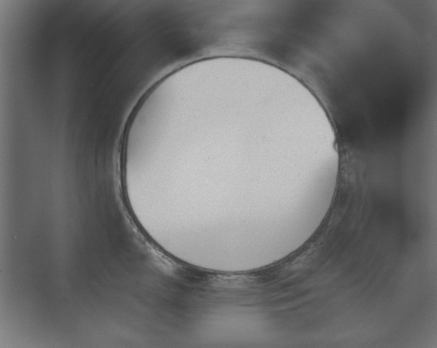 X0000073831150200608170934