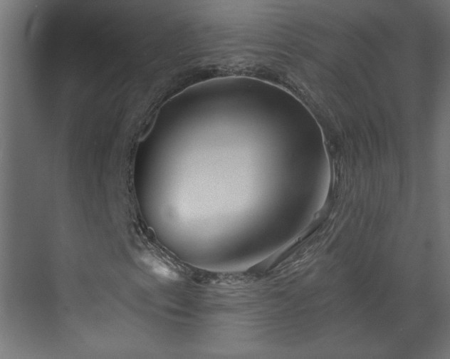 X0000073831153200608170934