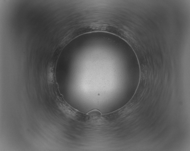 X0000073831154200608170933