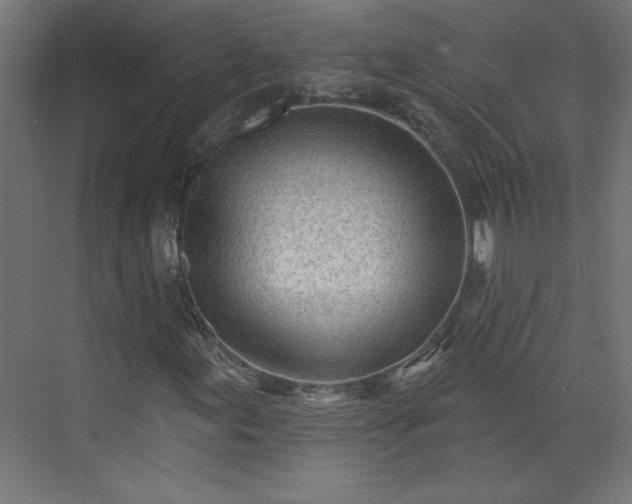 X0000073831155200608170933