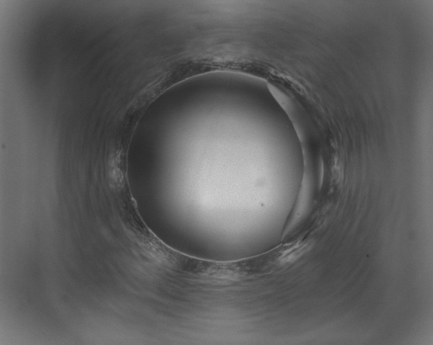 X0000073831156200608170933