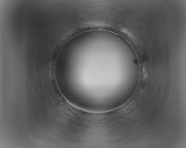 X0000073831157200608170933