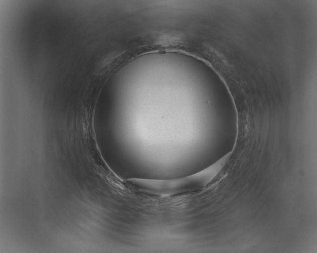 X0000073831158200608170933