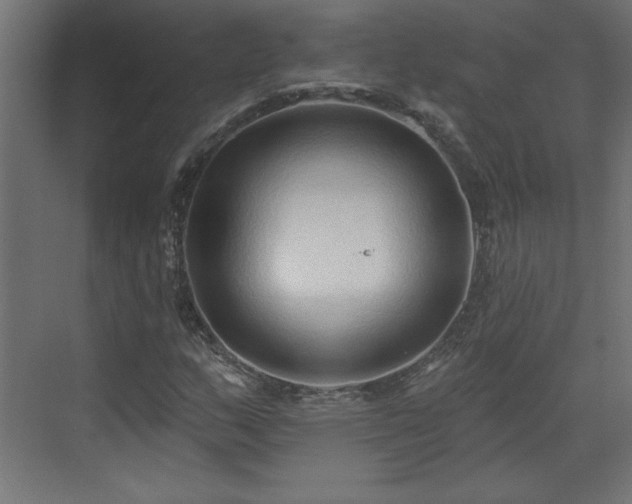 X0000073831159200608170933