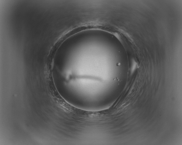 X0000073831160200608170933