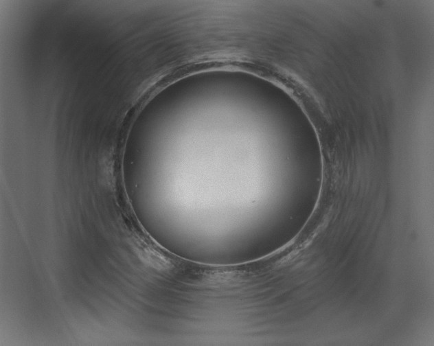 X0000073831162200608170933