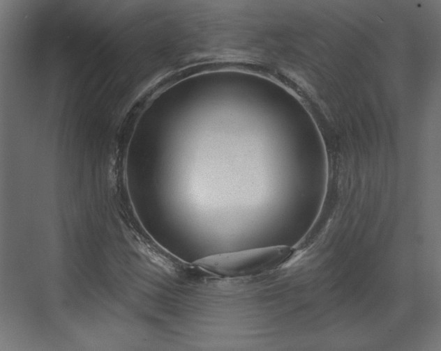 X0000073831163200608170933