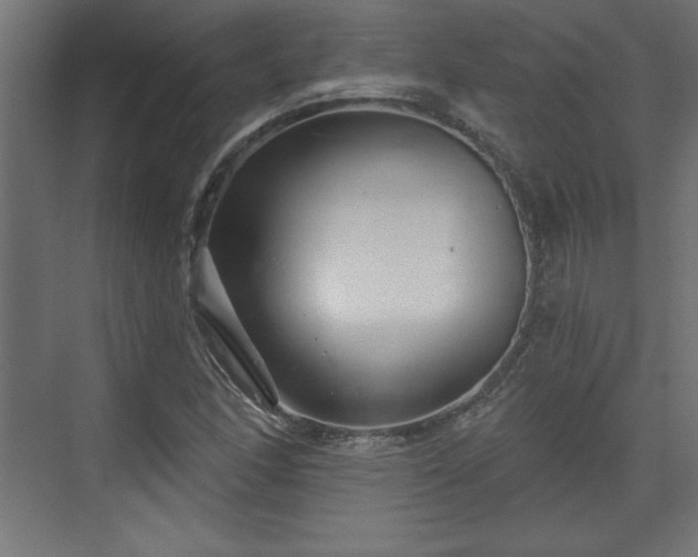 X0000073831166200608170933