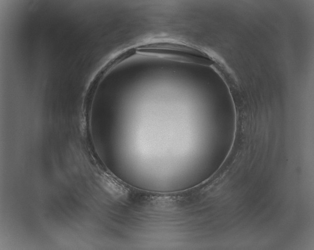 X0000073831167200608170933