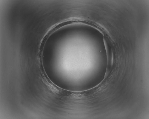 X0000073831168200608170933